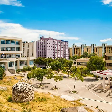 Hostel Summer Budget Split