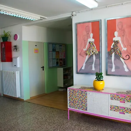 Summer Budget Hostel *