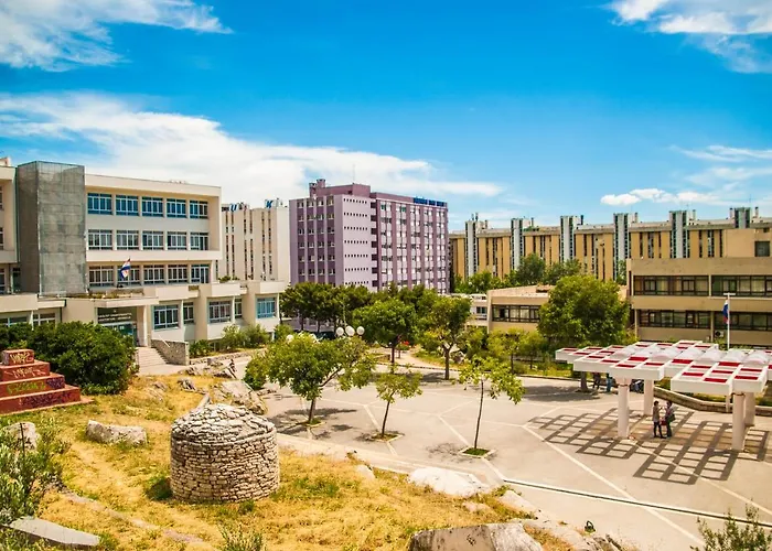 Hostel Summer Budget Split